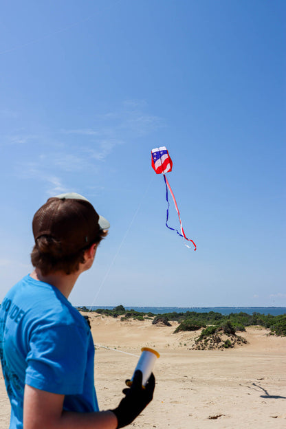 Parafoil 2 - Kite