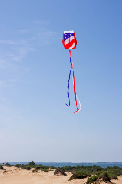 Parafoil 2 - Kite