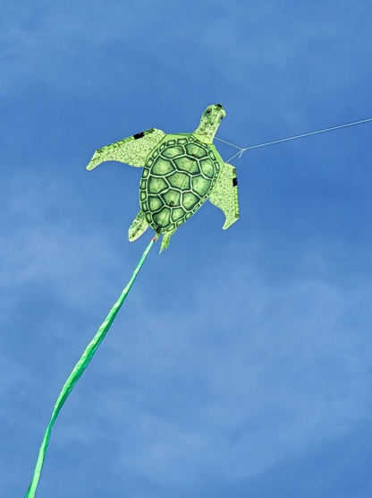 Baby Sea Turtle Kite - Green