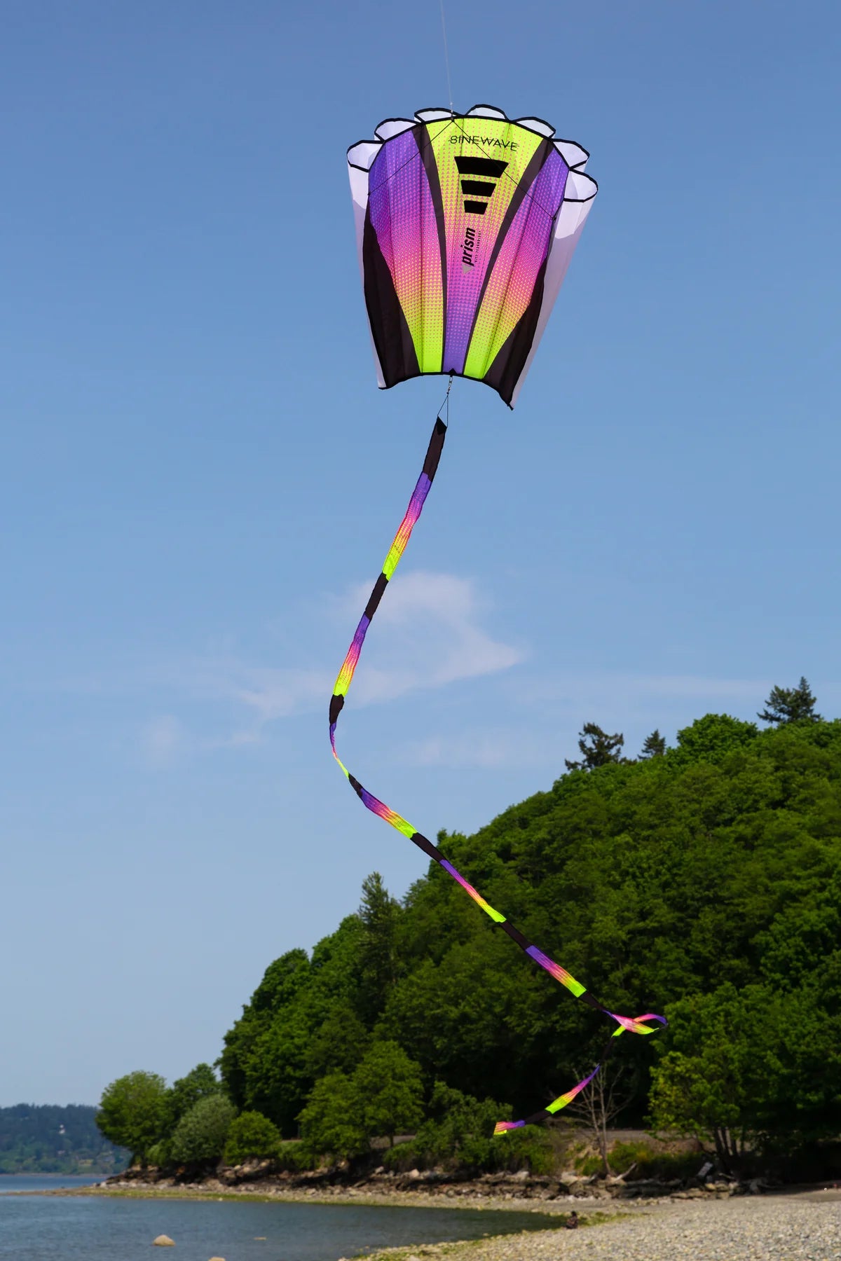 Prism Sinewave Kite - Plasma