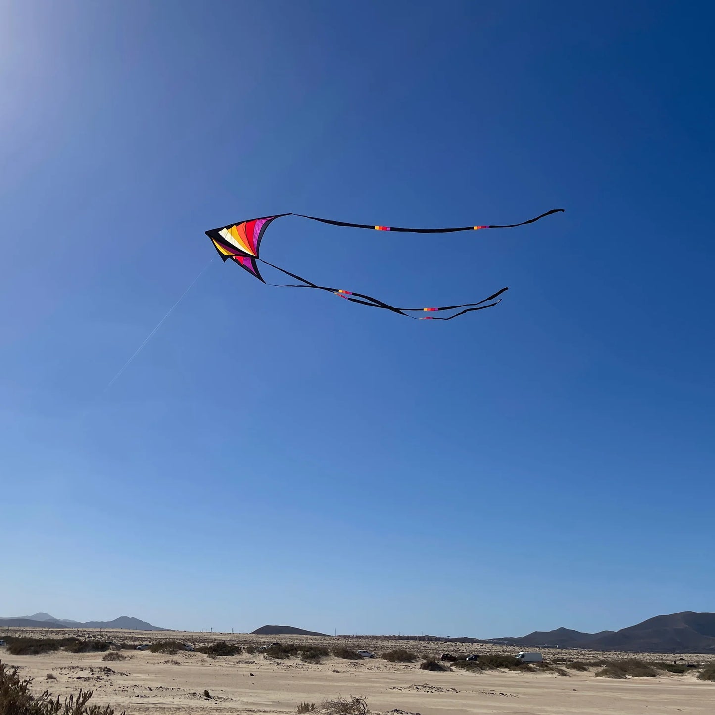 Taz Delta by Spiderkites - Purple/Yellow