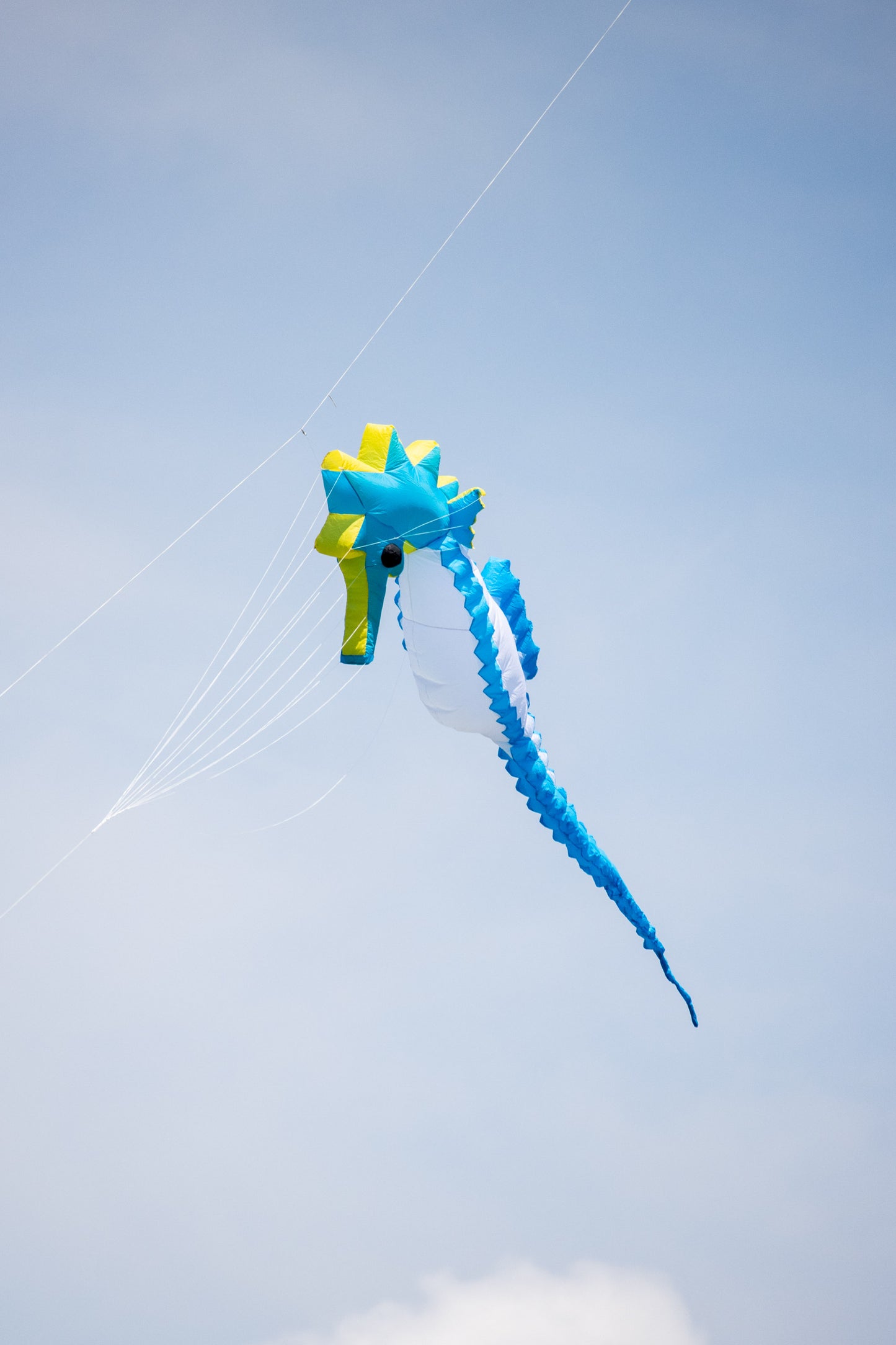 5m Inflatable Seahorse - Blue