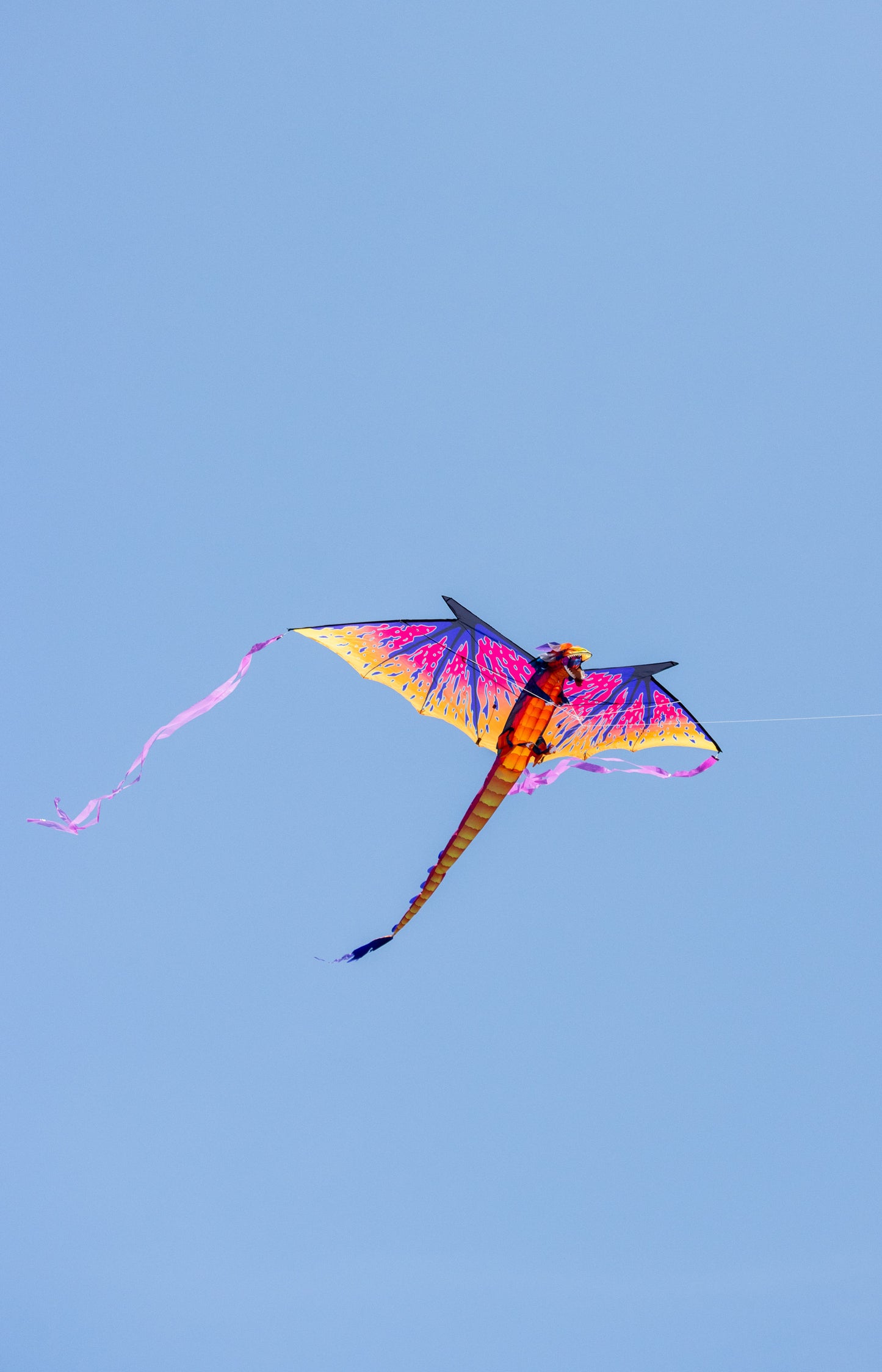 10ft Dragon Sky Giant Kite