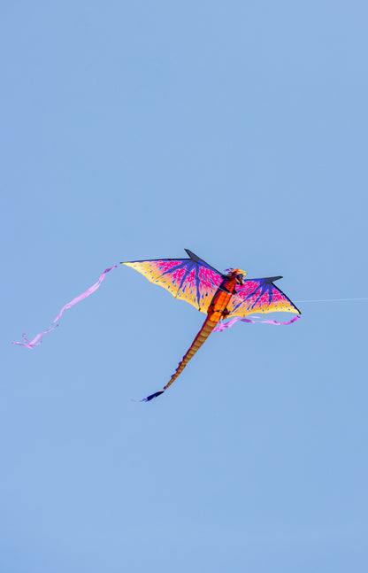 10ft Dragon Sky Giant Kite