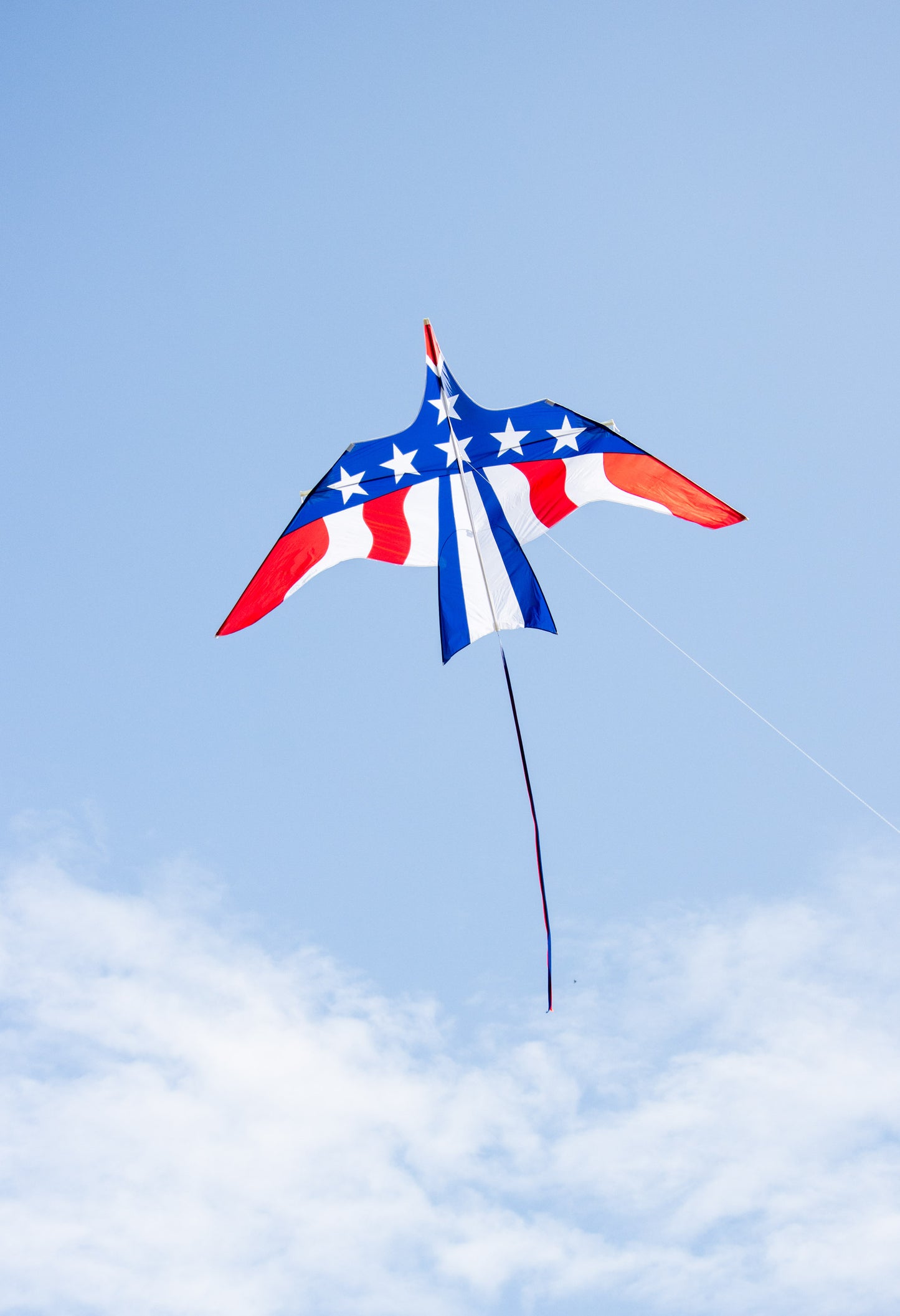 11.5 FT Patriotic Thunderbird