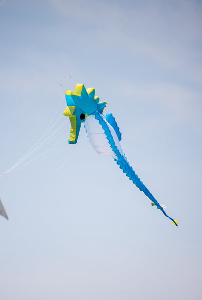 5m Inflatable Seahorse - Blue