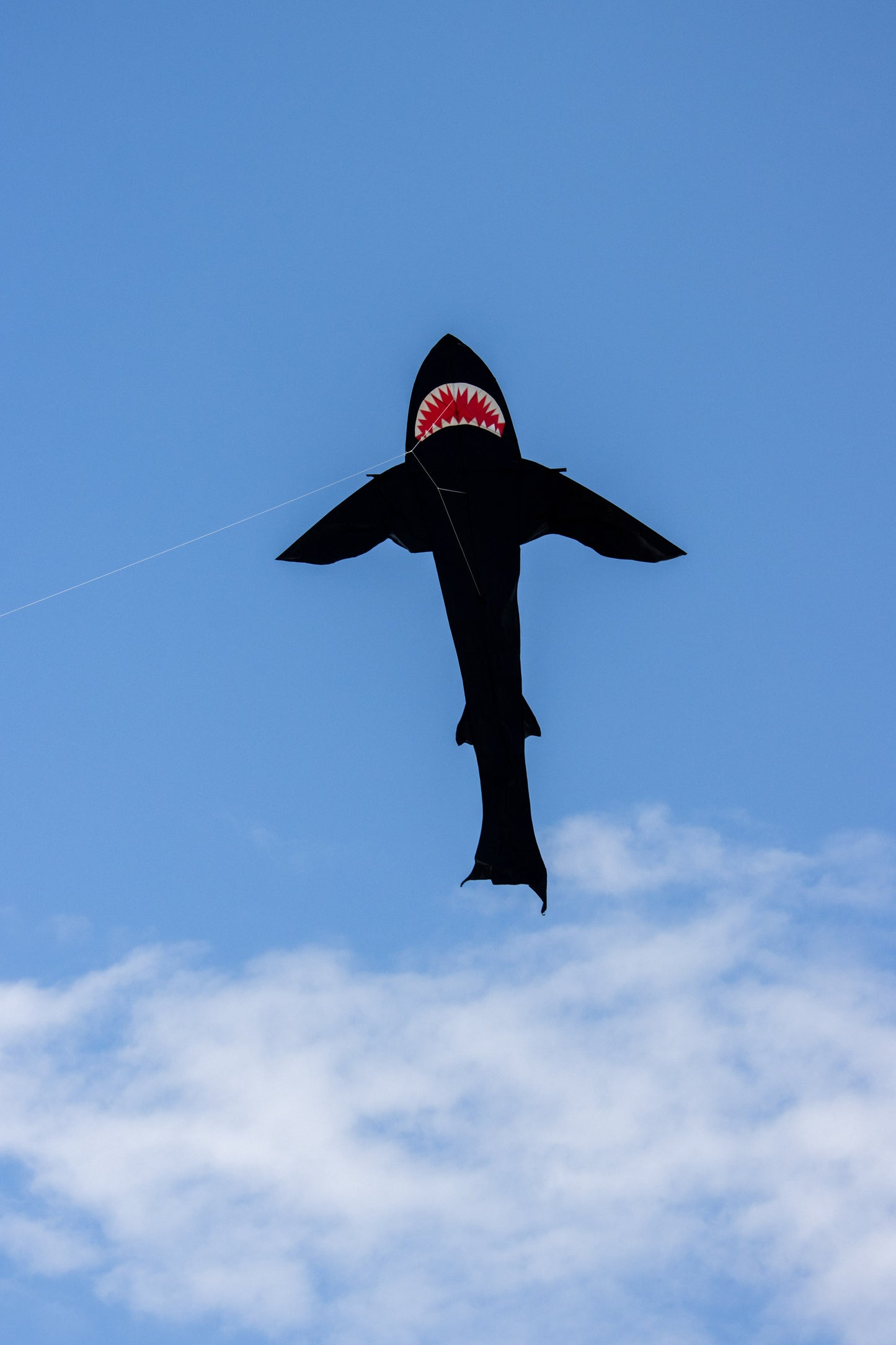 21 Foot Black Shark Kite