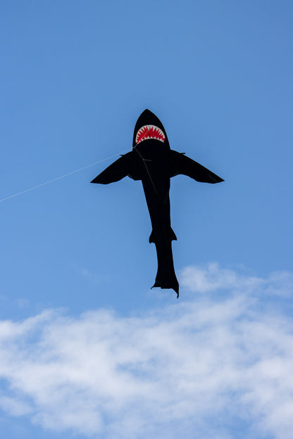 21 Foot Black Shark Kite