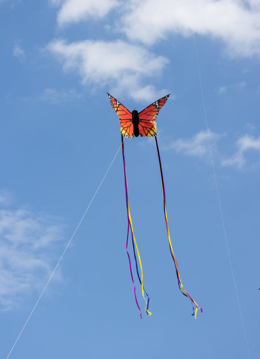51" Butterfly Kite "L" - Monarch