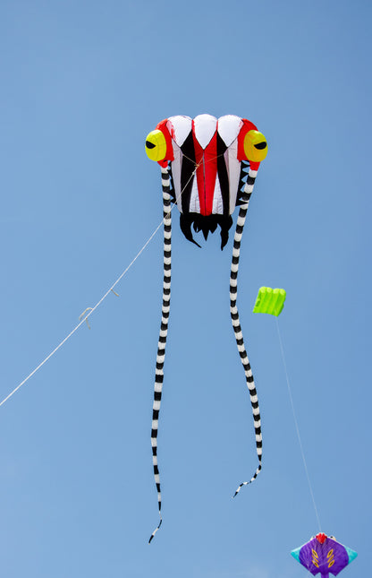 2M Trilobite Kite - Red