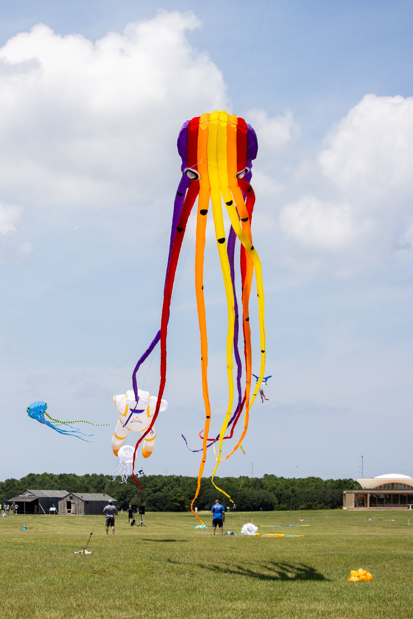 15m Octopus Inflatable Kite - RAINBOW