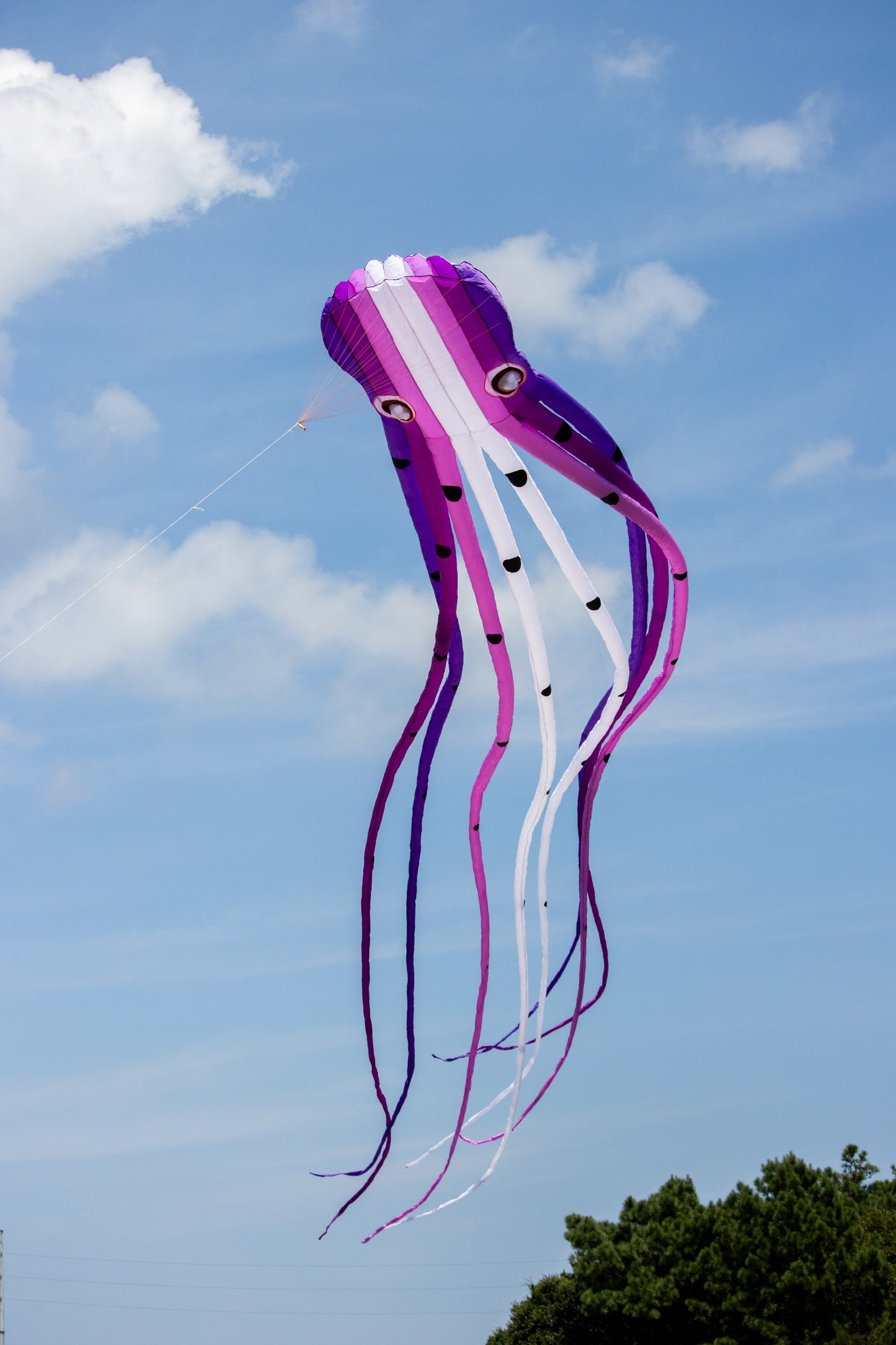 15m Octopus Inflatable Kite - PURPLE