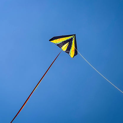 48" Delta Kite - Tie Dye