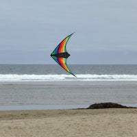 In the Breeze Rainbow Stripe Dual Control Sport Kite,48" W x 26" H