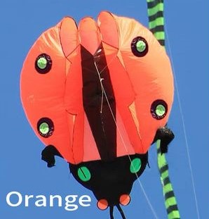 5m Inflatable Ladybug - Orange – Kitty Hawk Kites