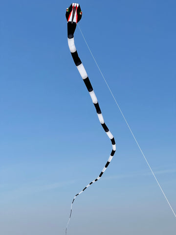 55m Inflatable Snake Kite - Black/White