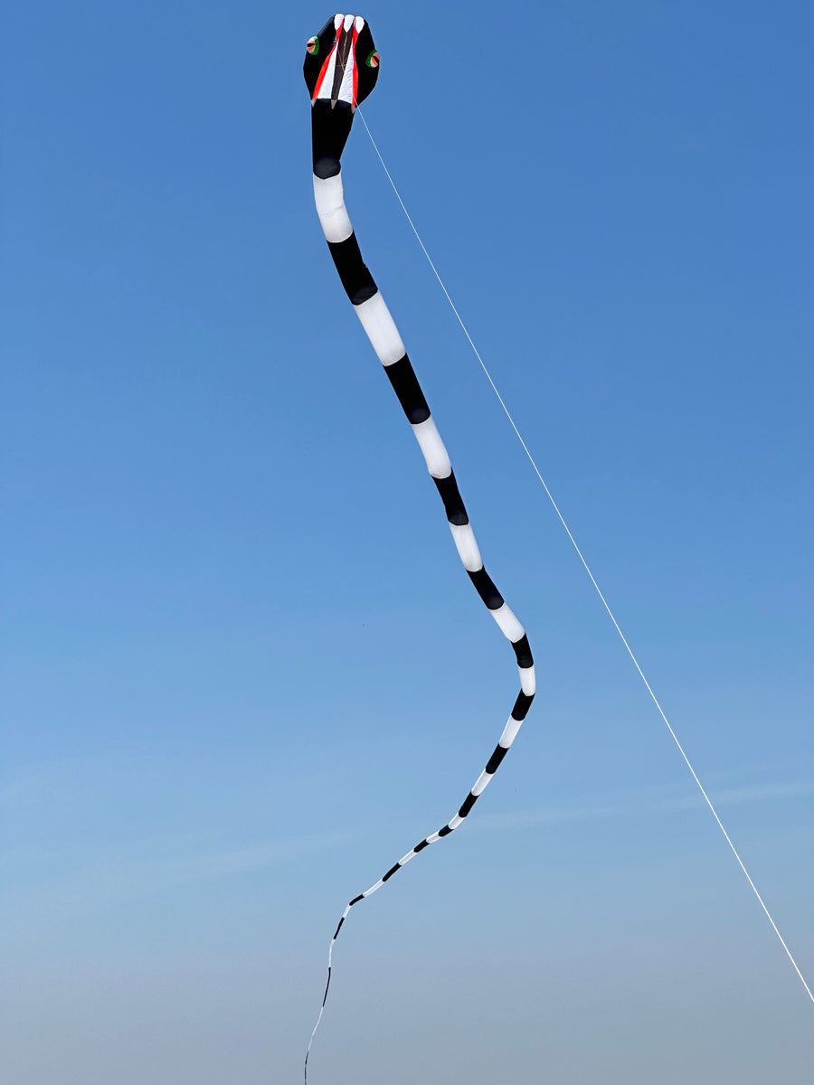 55m Inflatable Snake Kite - Black/White