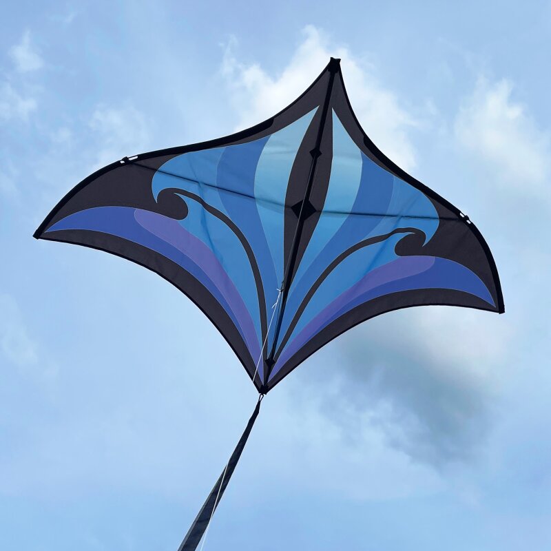 Swift Delta by Spiderkites - Aqua/Violet