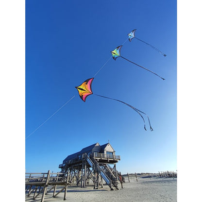 Swift Delta by Spiderkites - Aqua/Violet