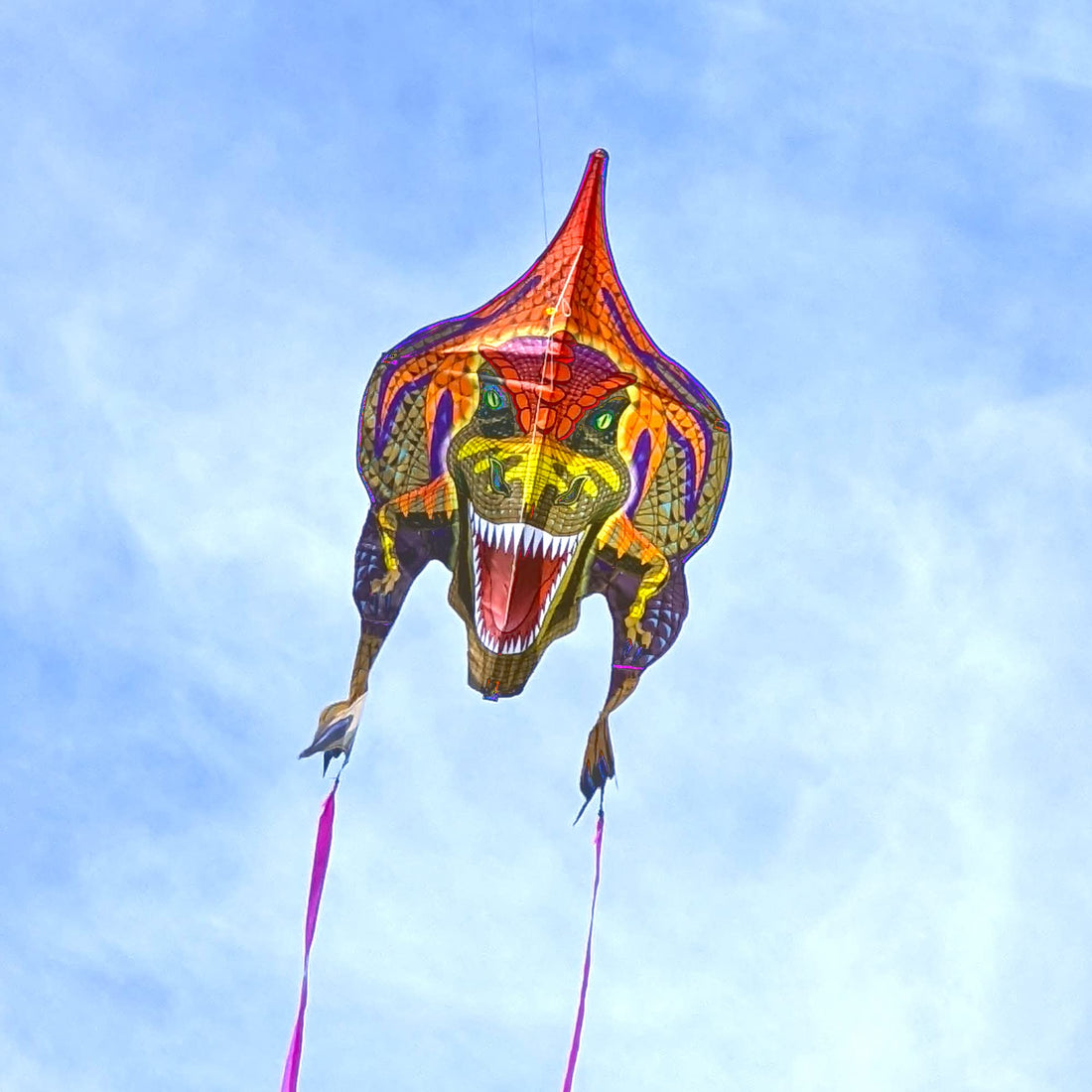 WindNSun Supersize 2D Kite - Roaring T-Rex