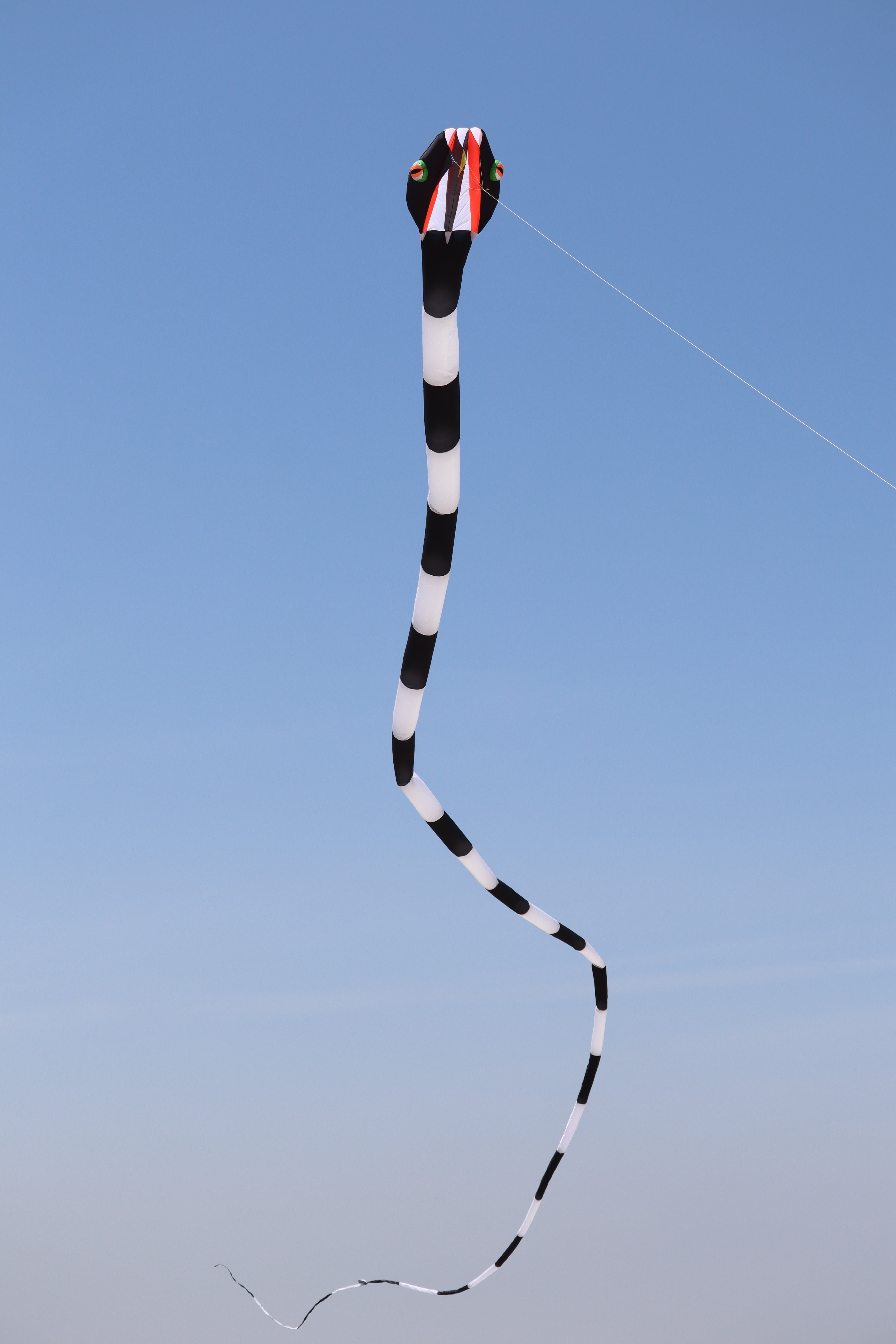 55m Inflatable Snake Kite - Black/White – Kitty Hawk Kites Online Store