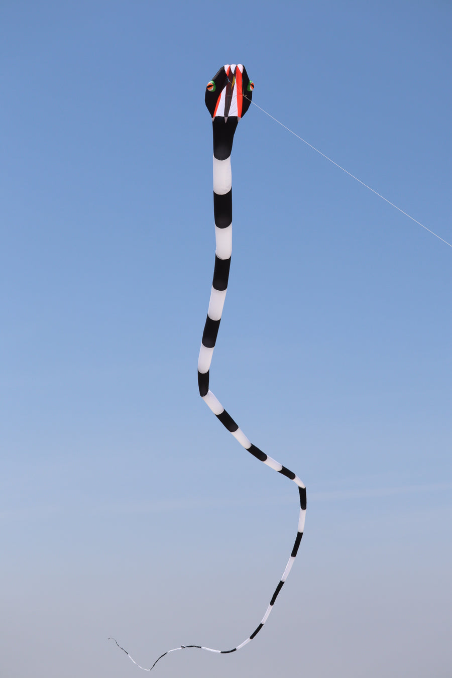 55m Inflatable Snake Kite - Black/White