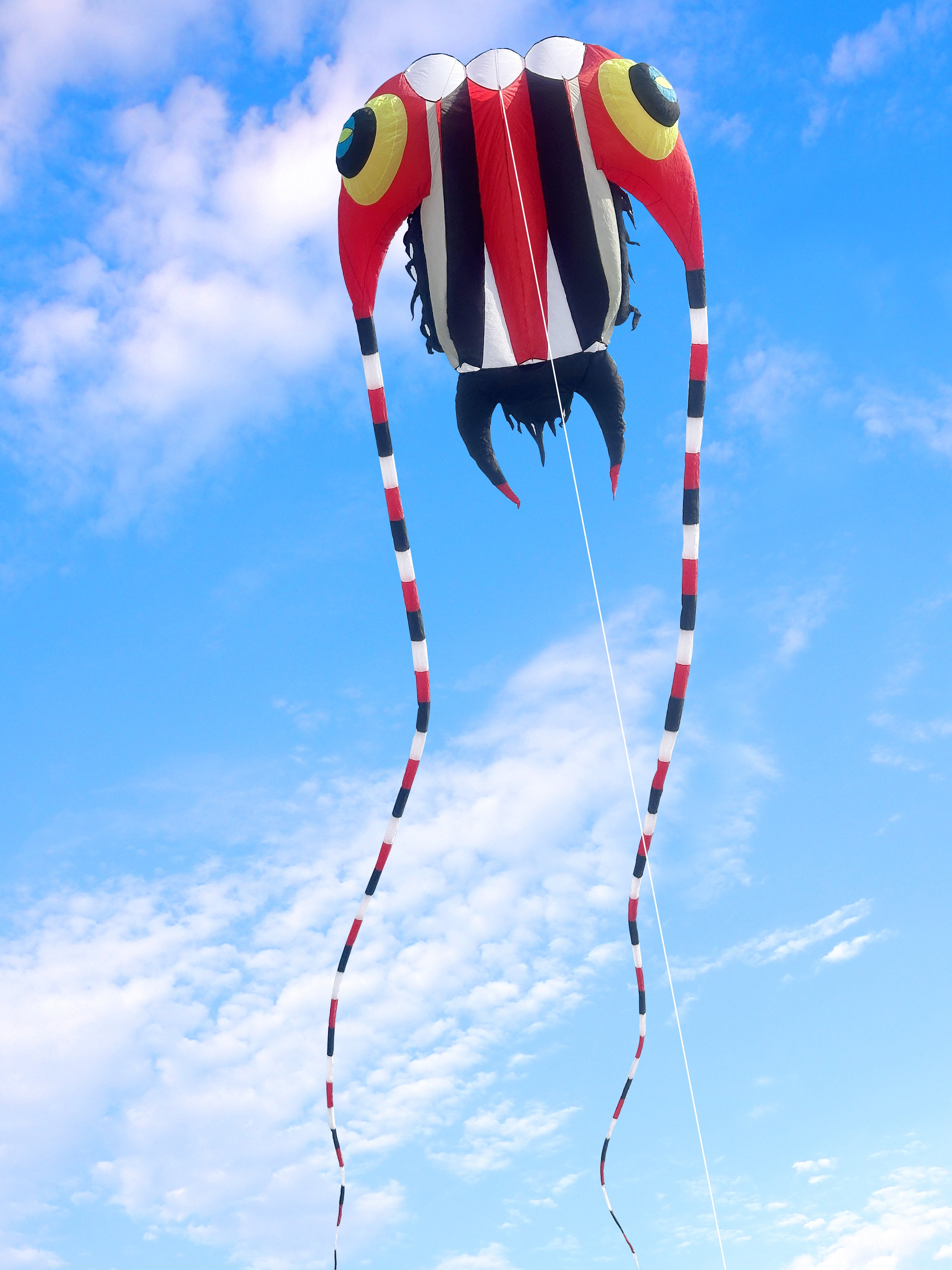 10M Trilobite Kite - Red – Kitty Hawk Kites Online Store