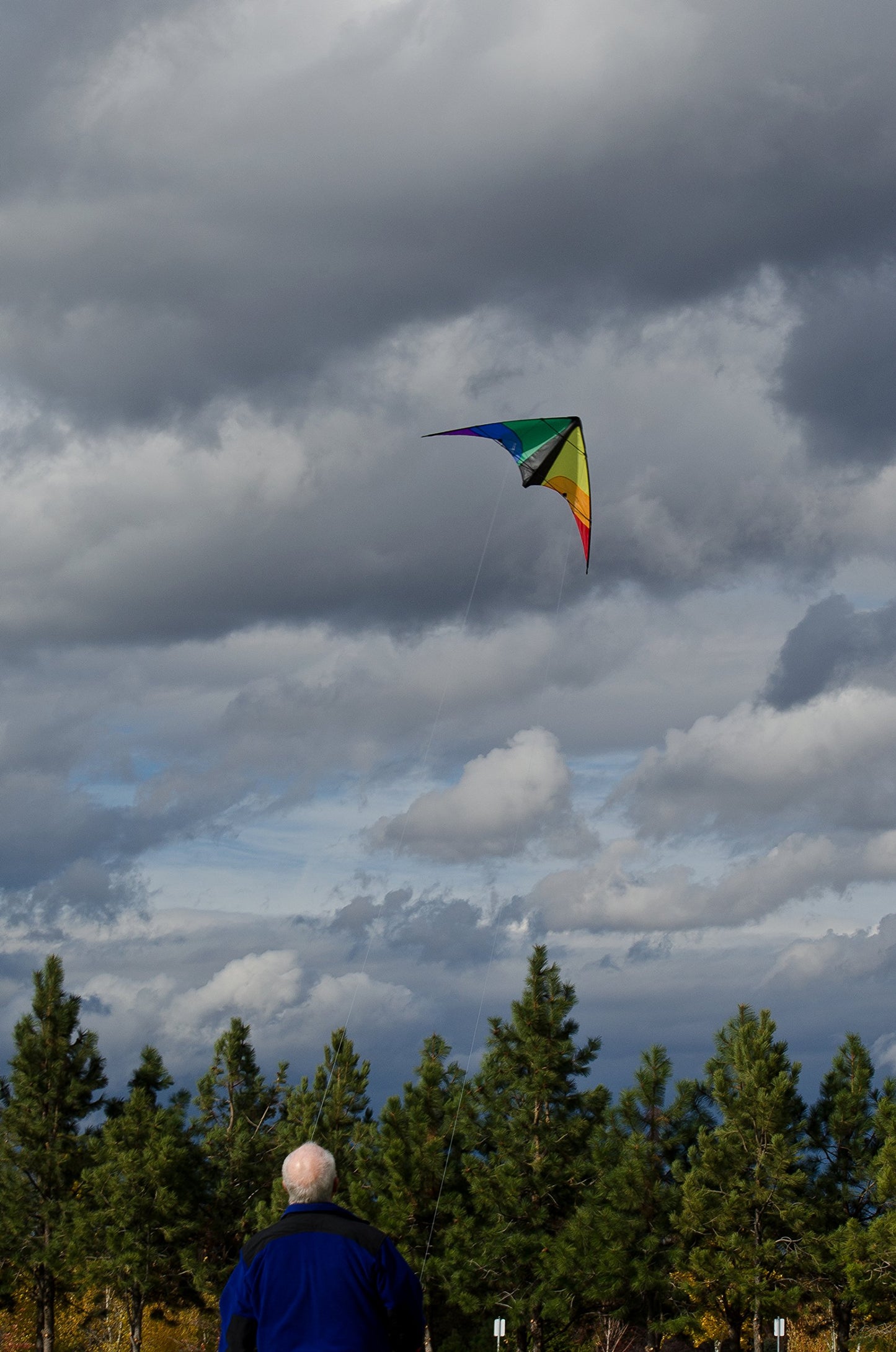 48" Colorwave Sport Kite