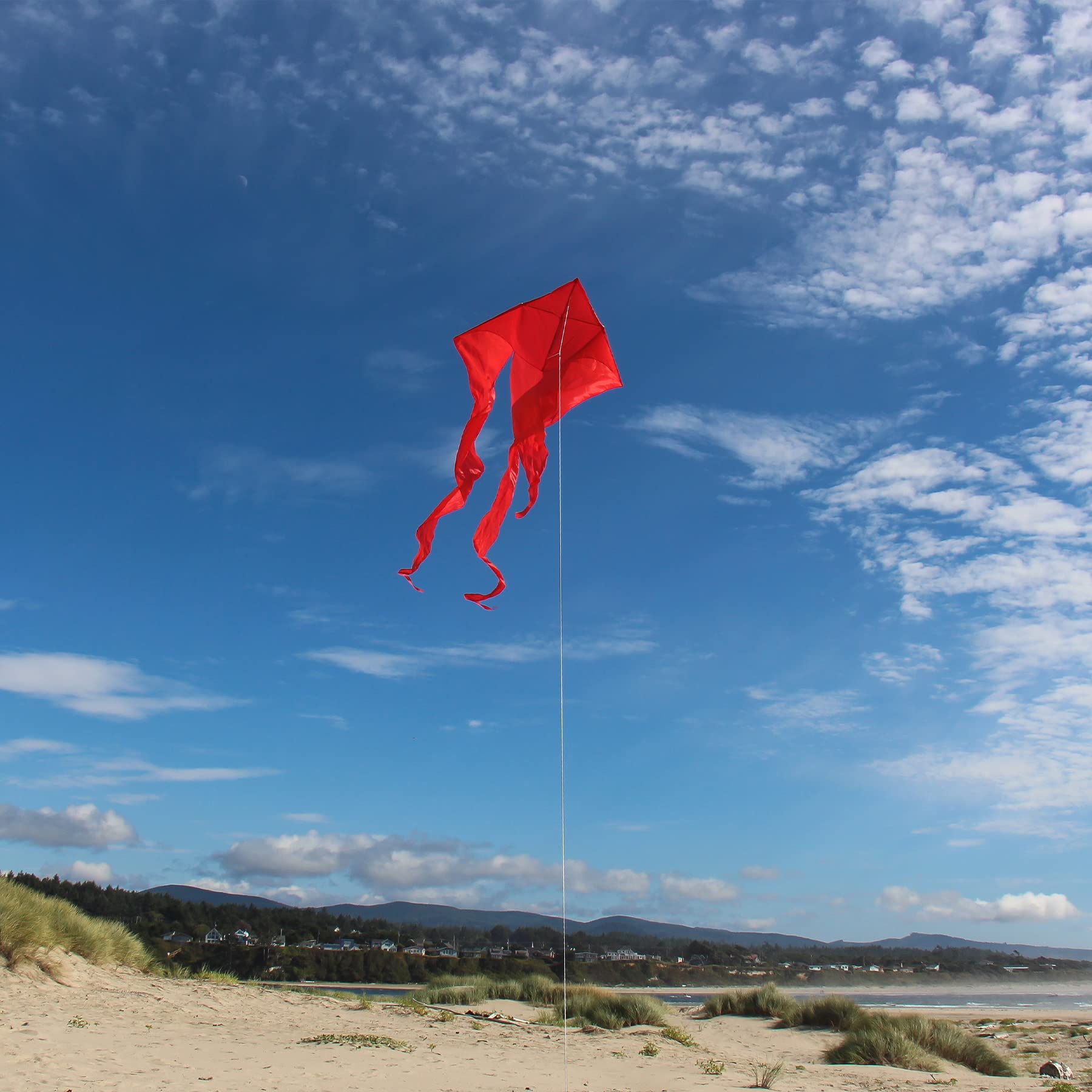 52&quot; Wave Delta Kite - Red