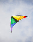 48" Colorwave Sport Kite