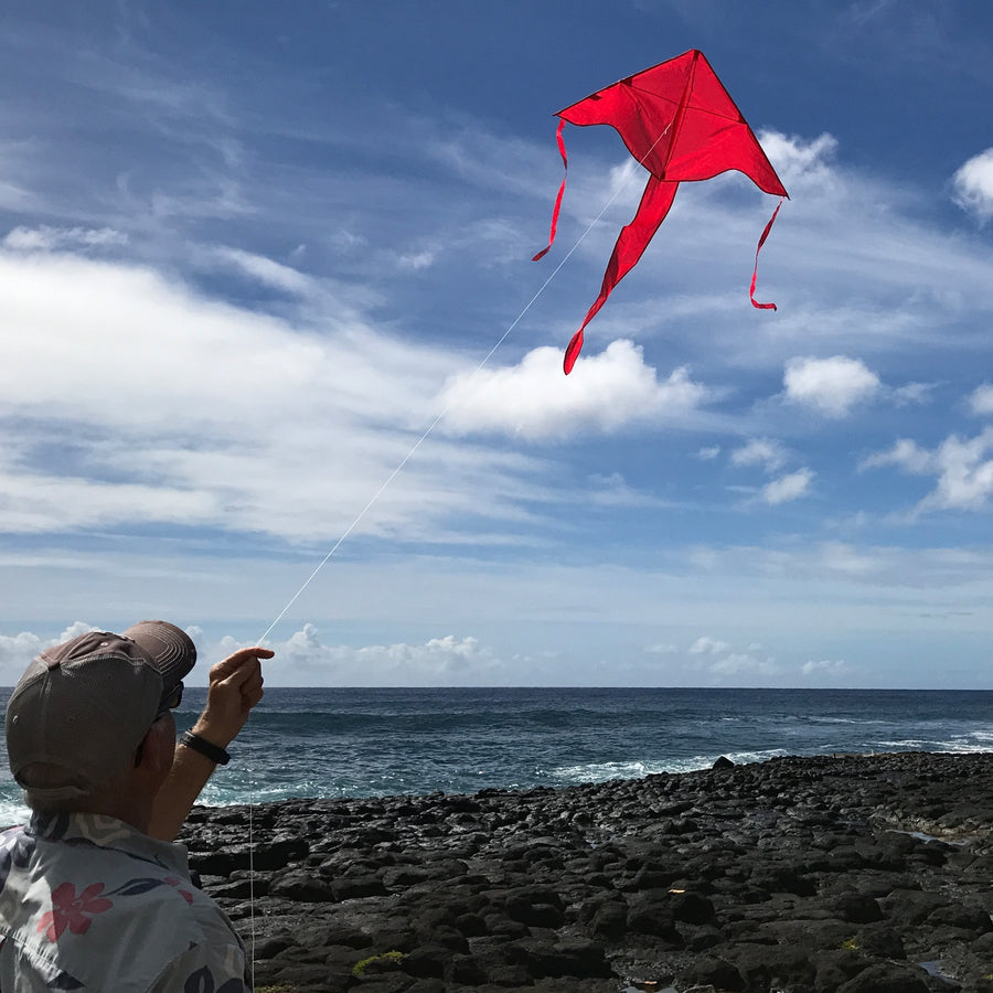 In the Breeze Solid Color Fly-Hi Kites