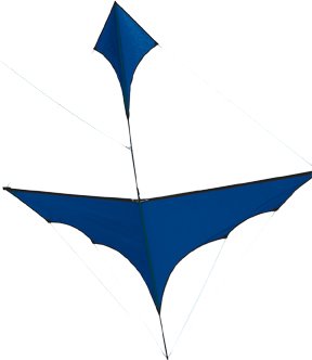 Canard Kite - Blue