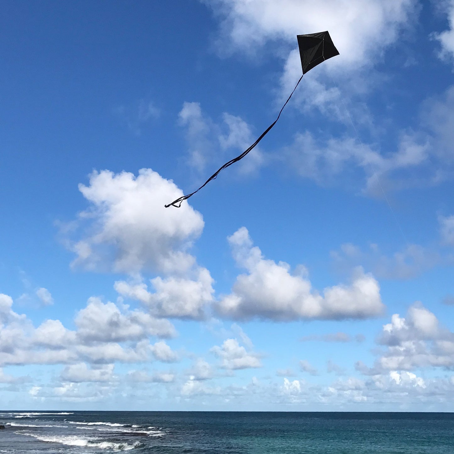 30" Solid Diamond Kite - Black