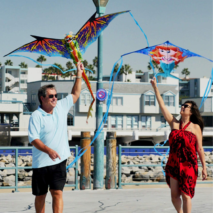 64" DinoSoars Pterodactyl Kite