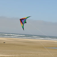 68" Rainbow Breeze Sport Kite