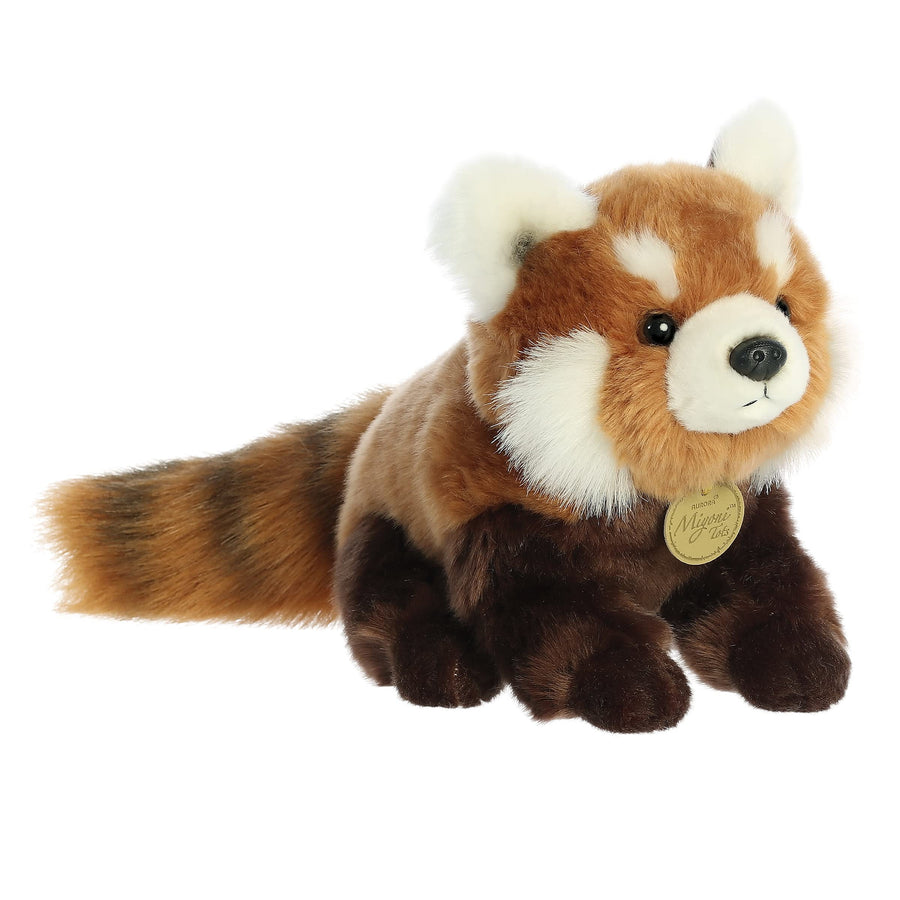 Aurora - Miyoni - 13" Red Panda Cub