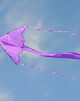 In the Breeze Solid Color Fly-Hi Kites