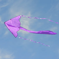 In the Breeze Solid Color Fly-Hi Kites - Purple