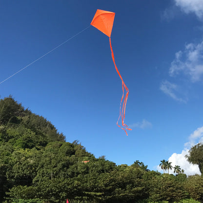 30" Solid Diamond Kite - Orange