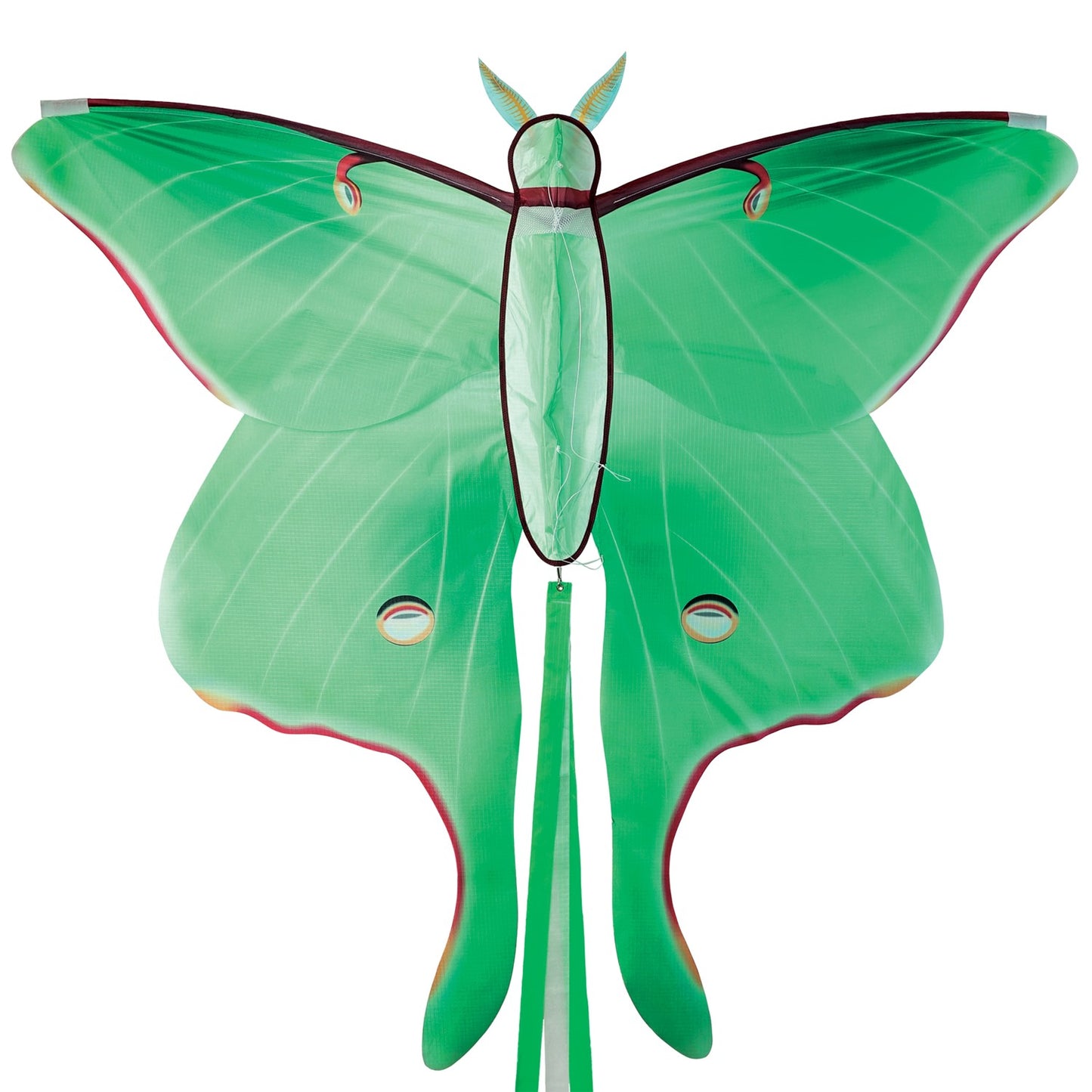 48" Luna Moth Kite