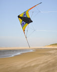 48" Sport Kite - Groovy Stunter