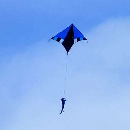 60" Cool Breeze Delta Kite