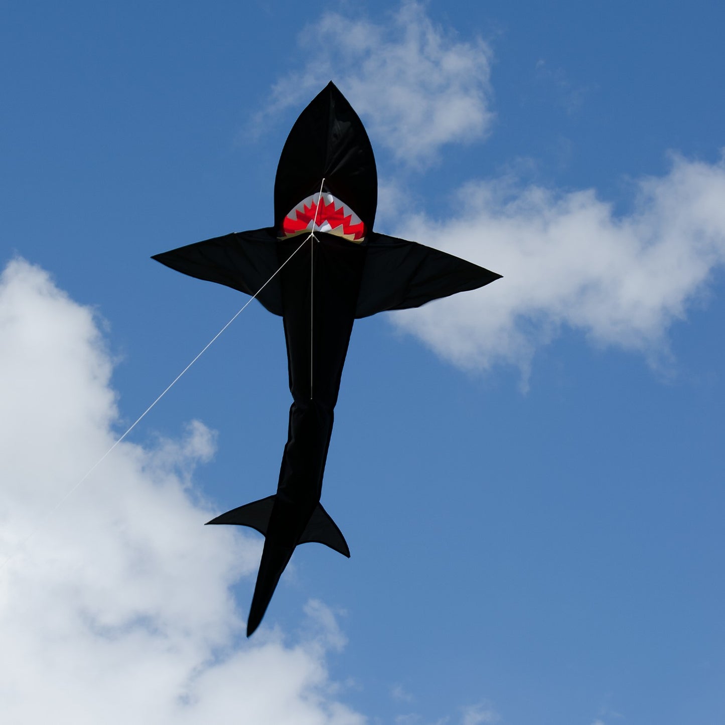 7.5' Shark Kite - Black