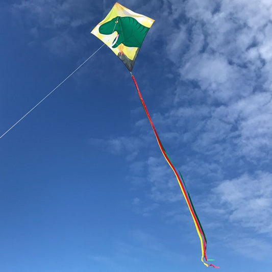 30" Diamond Kite - Dinosaur