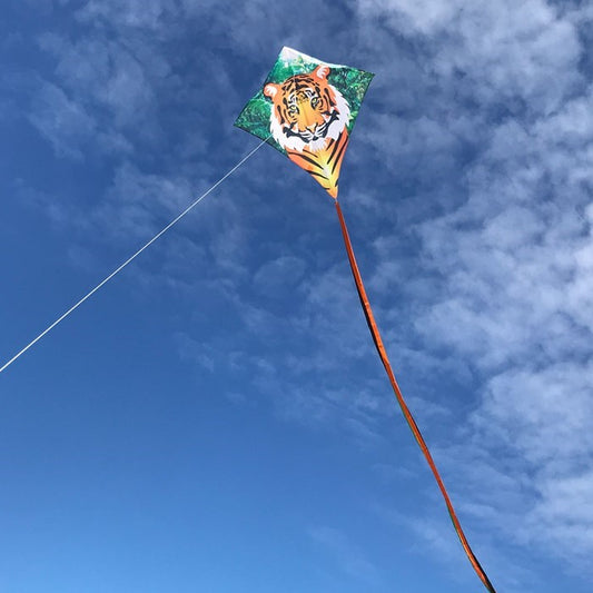 30" Diamond Kite - Tiger