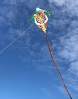 30" Diamond Kite - Tiger