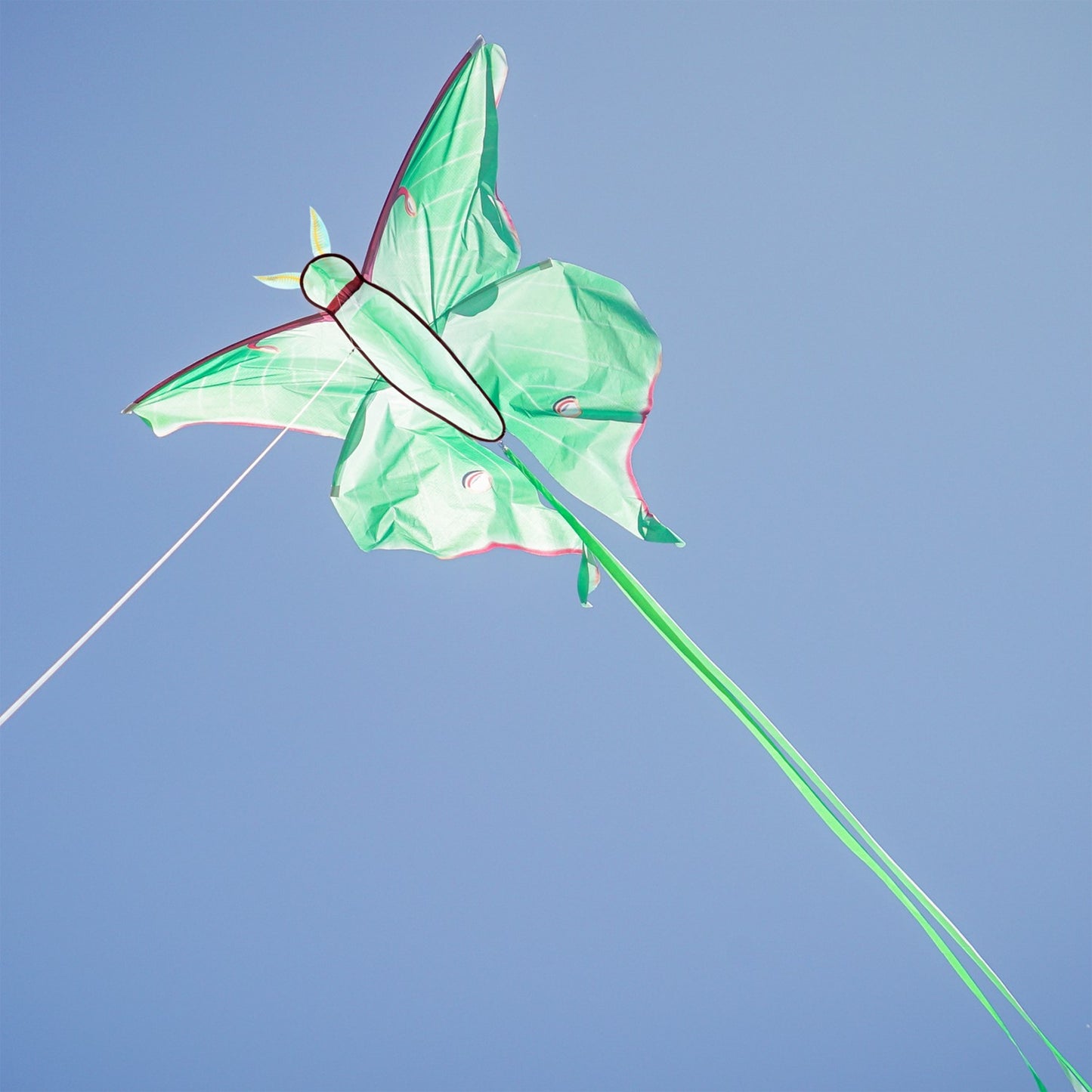 48" Luna Moth Kite