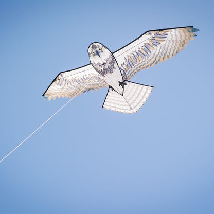 70" Osprey Kite