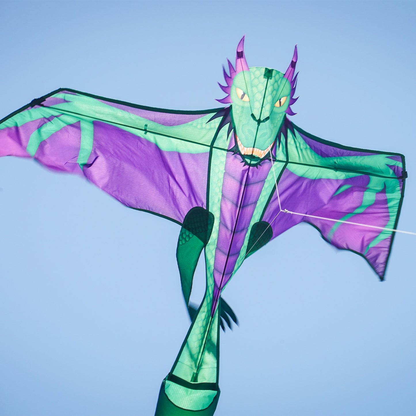 90" Dragon Kite