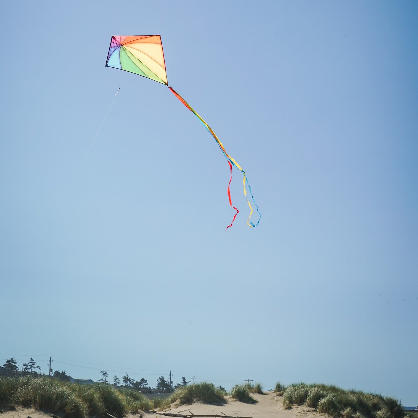 30" Diamond Kite - Rainbow Stained Glass
